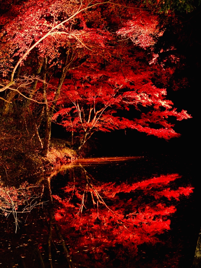 松平東照宮(お堀)