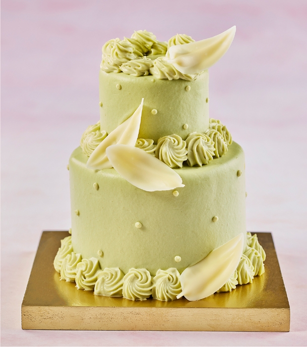 マリアージュ フェアリーピスタチオ