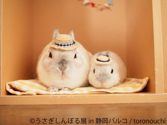 展示作品8