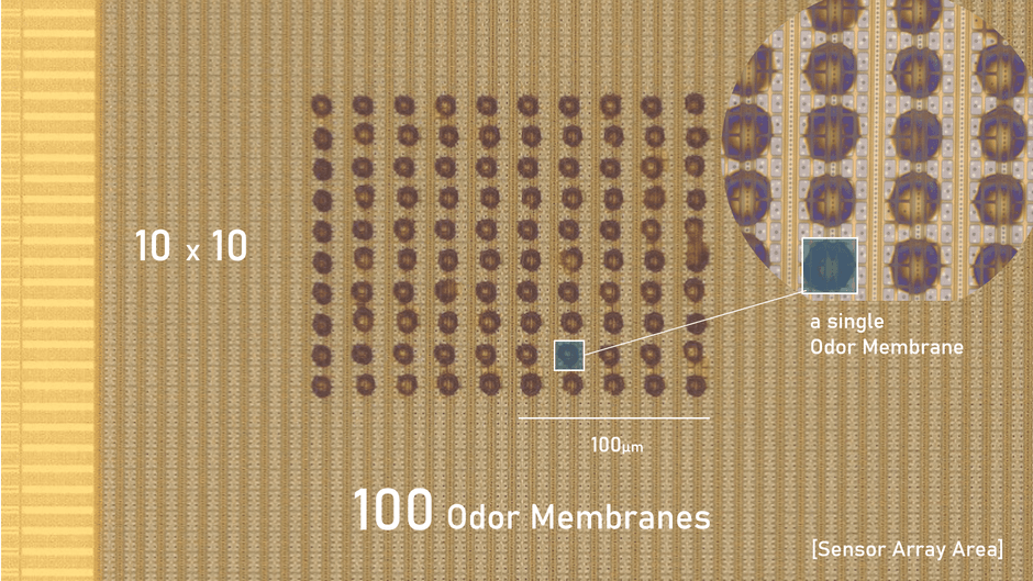 センサーアレー上に成膜した100のニオイ感応膜[SIJテクノロジ協力]