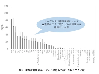 ユーグレナの光合成を活用した アミノ酸生産の可能性を示唆 明治大学大学院農学研究科 環境バイオテクノロジー研究室 およびユーグレナ社の研究成果