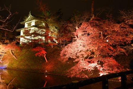 約2,600本の桜が赤く染まる紅葉をライトアップ！ 青森県弘前市『弘前城　菊と紅葉まつり』10/19～11/11開催