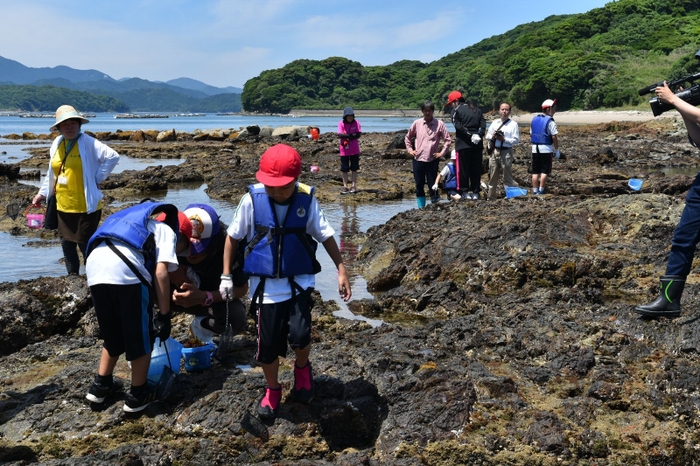 答志小学校浮島自然水族館