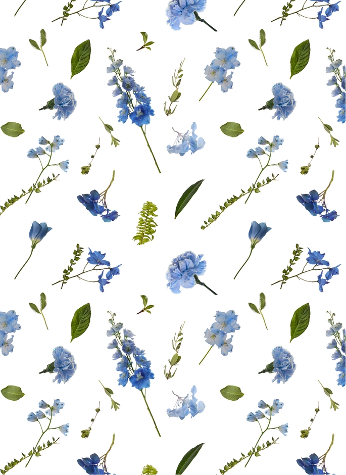 Plantica・テーラードコート 柄 ブルー