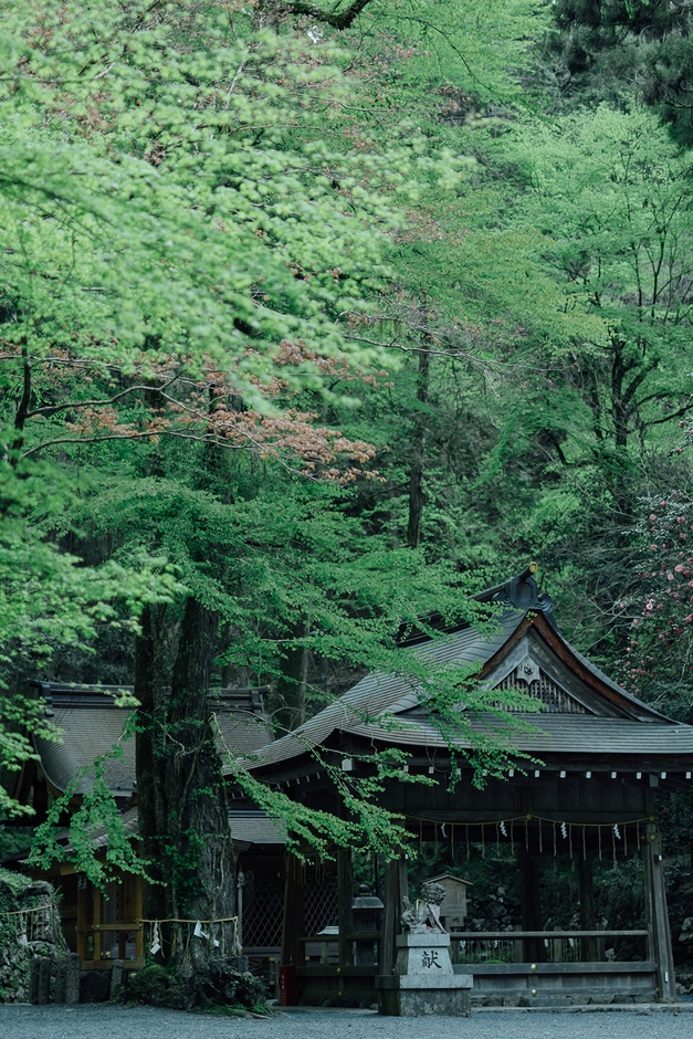貴船神社 奥宮 本殿