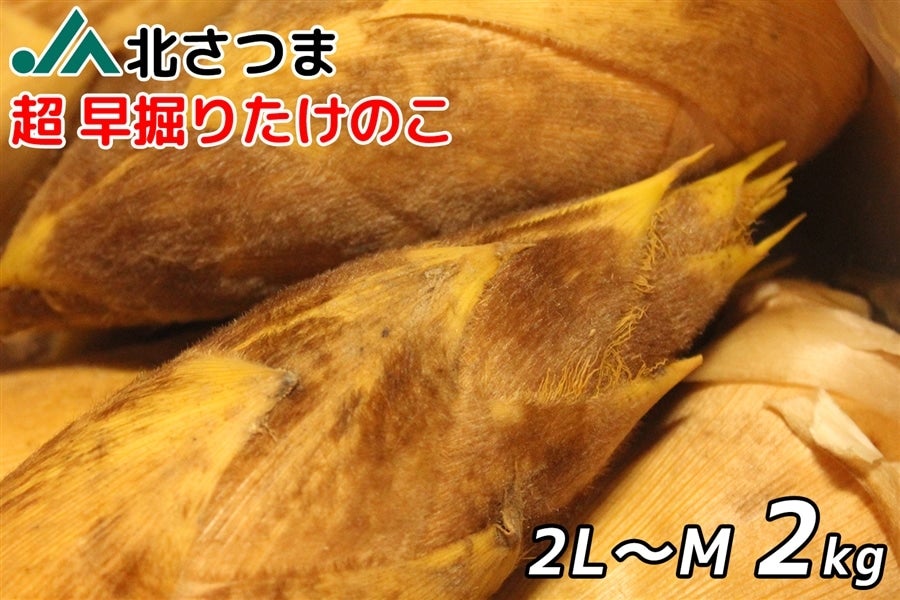 超早掘り筍2キロ （京たけのこ専門店-筍農家）