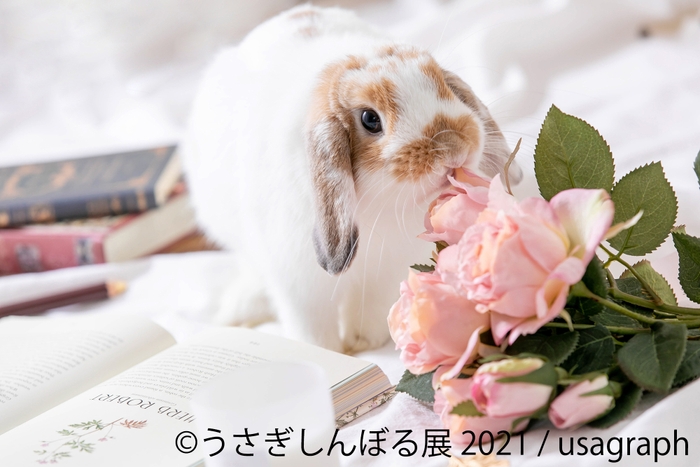 展示作品8