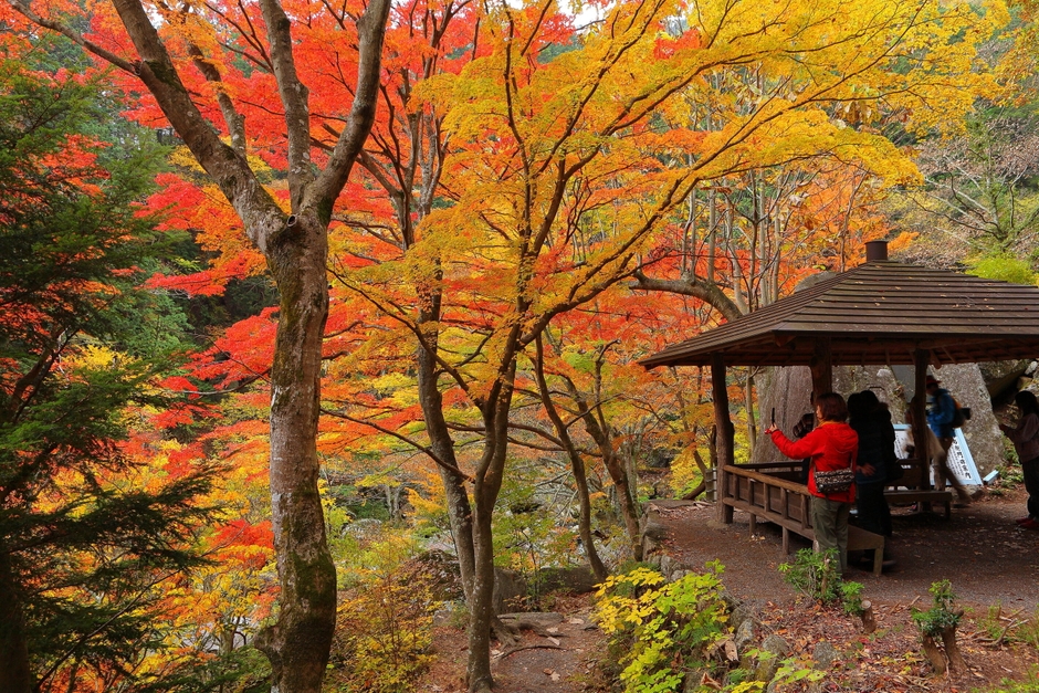 秋の昇仙峡「遊歩道」紅葉スポット(2)