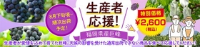 福岡県産ぶどうを食べて生産者を応援！ ＪＡタウン「博多うまかショップ」で規格外の「福岡県産巨峰」を 特別価格＆先着100名様「お客様送料負担なし」にて販売！