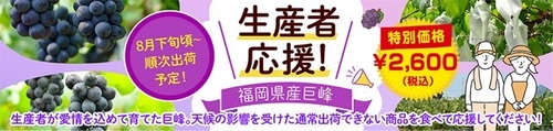 福岡県産ぶどうを食べて生産者を応援！ ＪＡタウン「博多うまかショップ」で規格外の「福岡県産巨峰」を 特別価格＆先着100名様「お客様送料負担なし」にて販売！