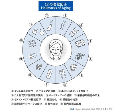 12の老化因子