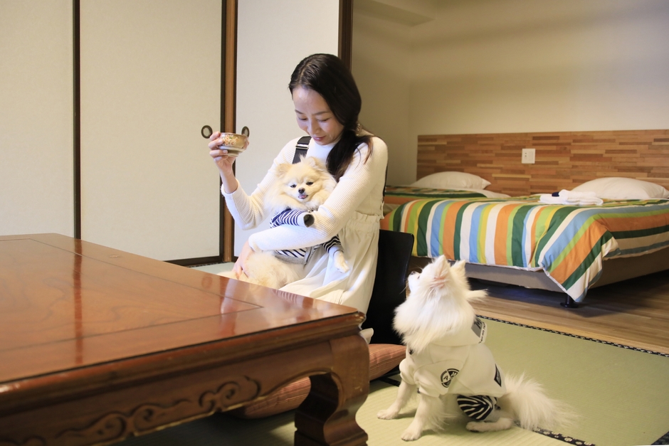 お部屋でもわんちゃんとお寛ぎいただけます(ゆるり西伊豆)