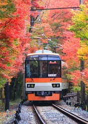 11月9日（月）～12月11日（金）に「秋ダイヤ」を実施します