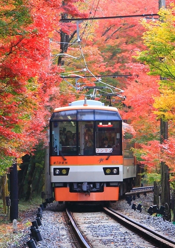 展望列車「きらら」