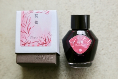 「初蕾」画像