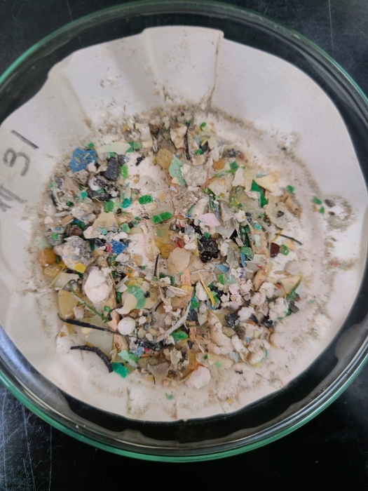 採集されたマイクロプラスチックサンプルの一つ