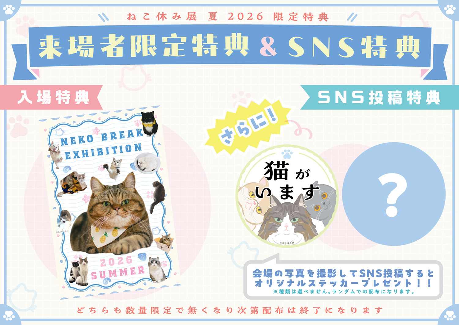 猫まみれ”で癒される！人気スター猫の新作＆限定グッズが集結 200万人