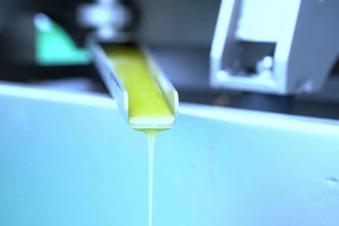 オリーブ搾油機より搾油されたオリーブオイル