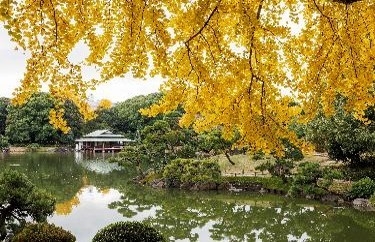清澄庭園