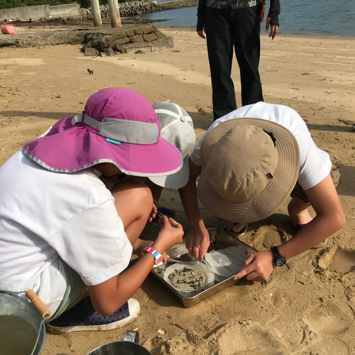 粟島海洋環境クラブ　マイクロプラスチック調査体験