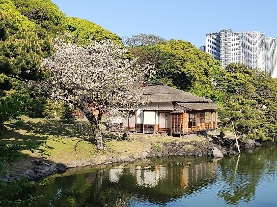 2015年復元：燕の御茶屋