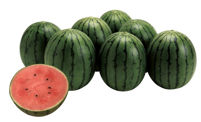 ピノ・ガール果実写真(2)