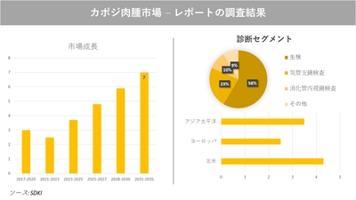 カポジ肉腫市場の発展、動向、巨大な需要、成長分析および予測2023ー2035年