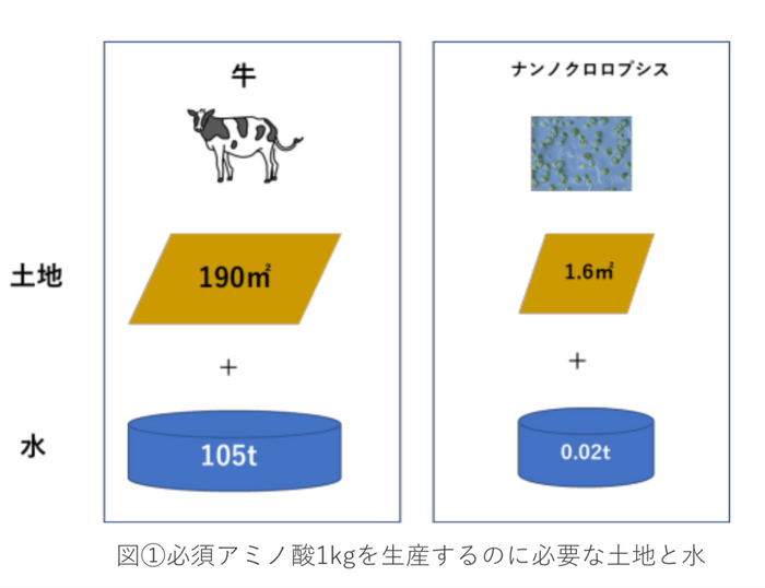 図(1)