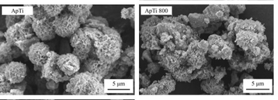Fig. 1 800℃で加熱したアパタイト被覆酸化チタン(ApTi800)および従来のアパタイト被覆酸化チタン(ApTi)のSEM画像