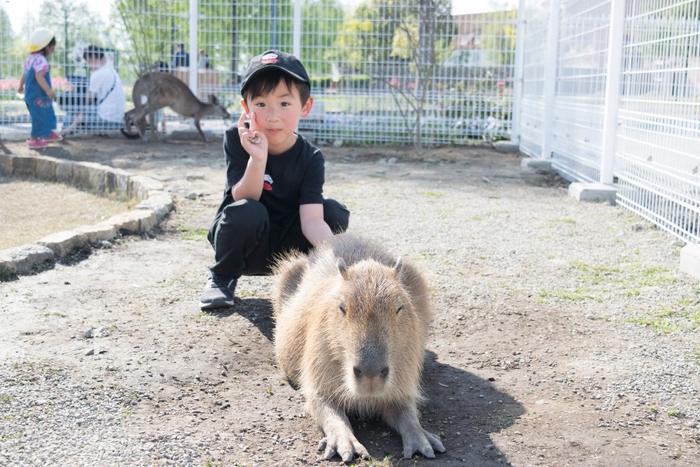 動物ふれあい