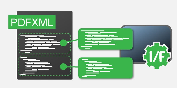 公開されたPDFXML形式