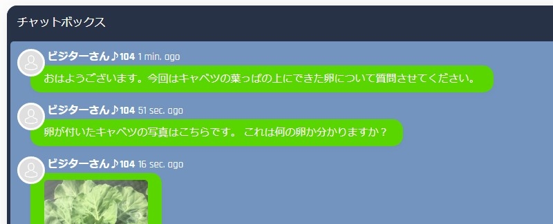 Q&Aチャットイメージ1