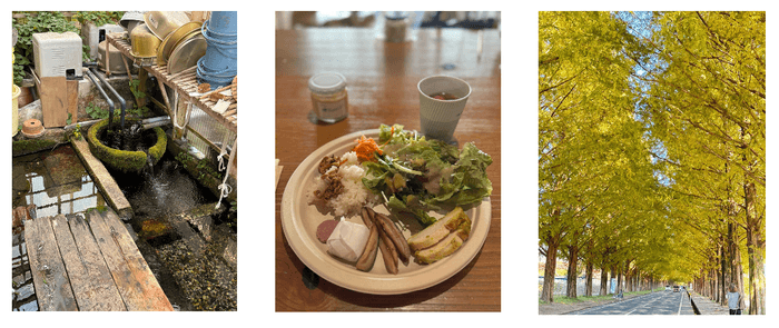 (左)針江地区に残る昔ながらの水の循環システム 「かばた」を見学(中)鮒寿司に代表される醗酵文化が根付く近江地方でいただ<醗酵料理(右)日本屈指のマキノ ・ メタセコイヤ並木