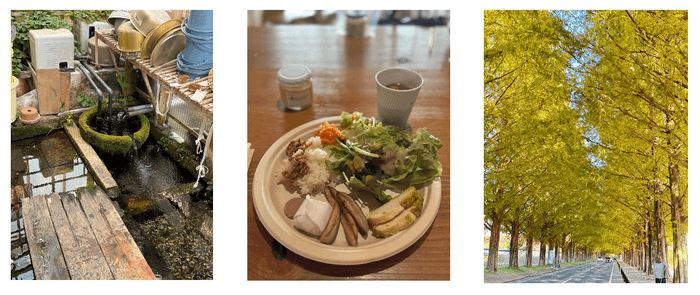 (左)針江地区に残る昔ながらの水の循環システム 「かばた」を見学(中)鮒寿司に代表される醗酵文化が根付く近江地方でいただ<醗酵料理(右)日本屈指のマキノ ・ メタセコイヤ並木