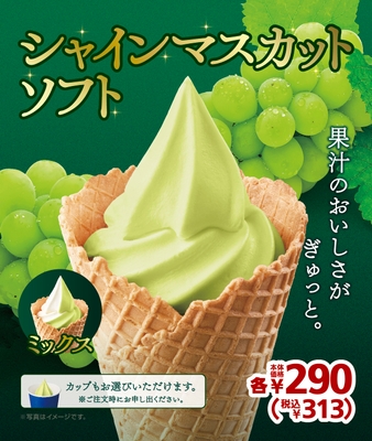 シャインマスカット 販促物画像