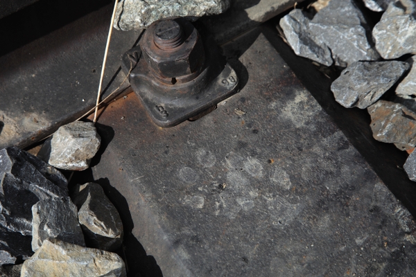 ユングフラウ登山鉄道(スイス)で見かけた足跡(鉄製枕木)。夜はどんな 野生動物が徘徊するのか。 2010