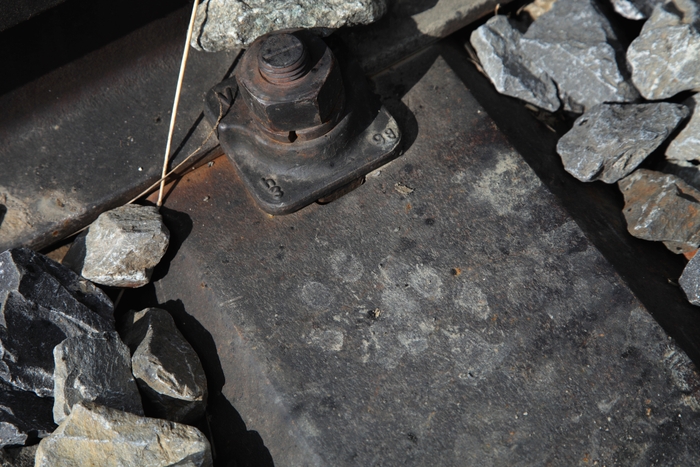 ユングフラウ登山鉄道(スイス)で見かけた足跡(鉄製枕木)。夜はどんな 野生動物が徘徊するのか。 2010