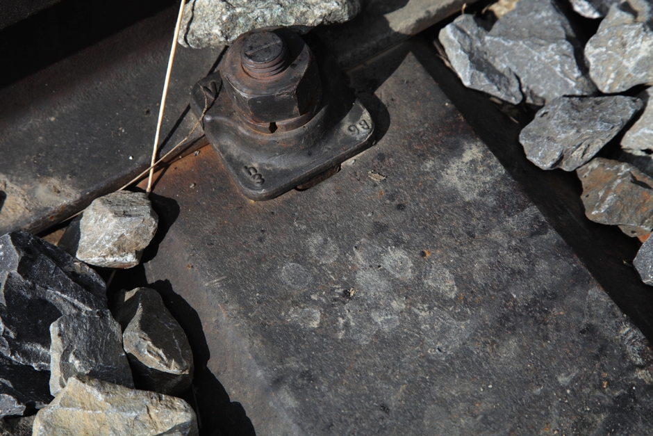 ユングフラウ登山鉄道(スイス)で見かけた足跡(鉄製枕木)。夜はどんな 野生動物が徘徊するのか。 2010