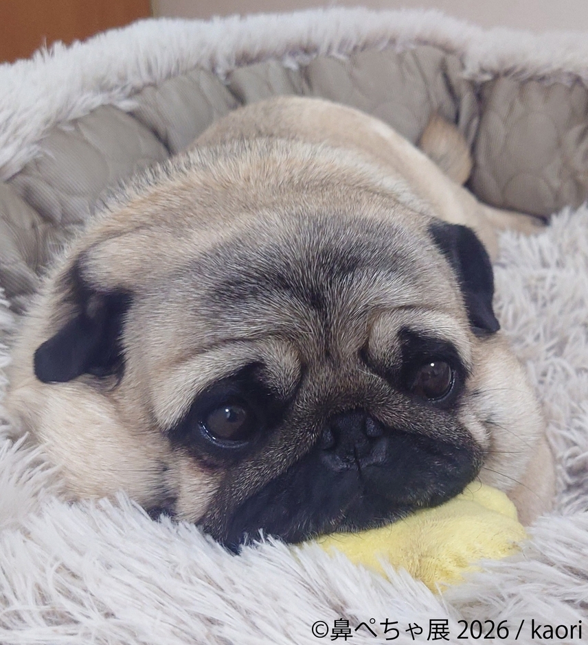 展示作品：kaori