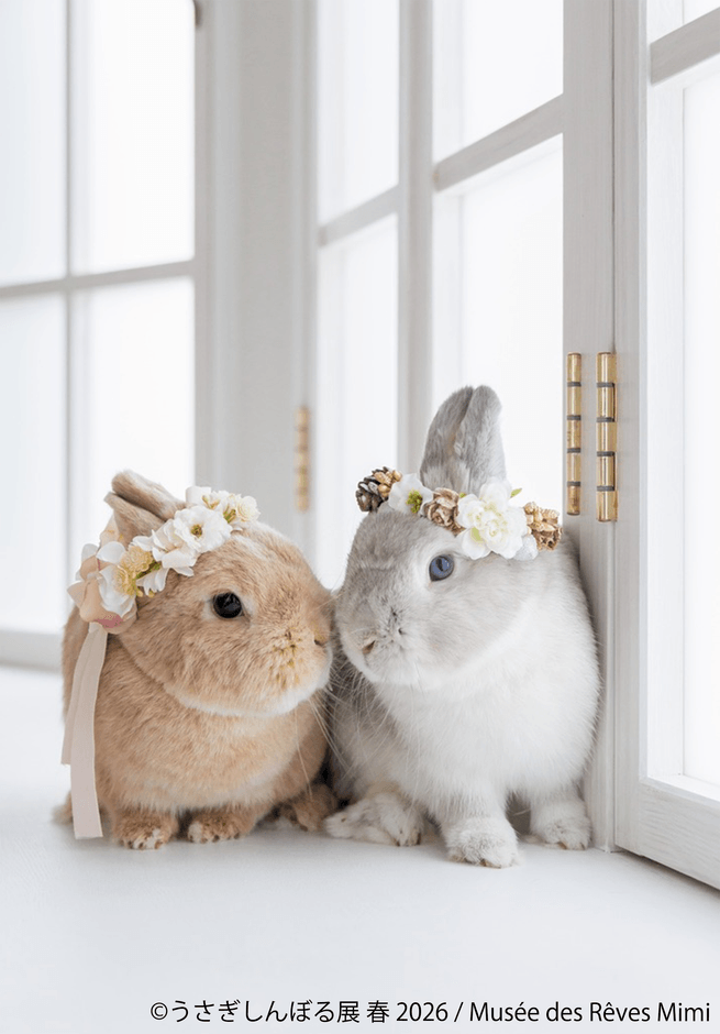 展示作品：Musee des Reves Mimi