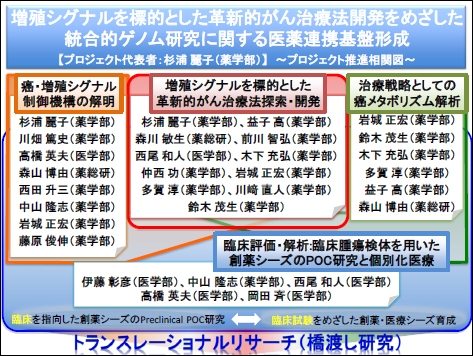 増殖シグナルを標的とした革新的がん治療法開発をめざした統合的ゲノム研究に関する医薬連携基盤形成