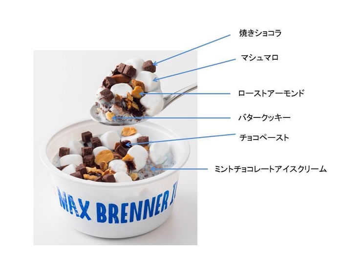  ミントチョコレートチャンクアイスクリームのパーツ説明