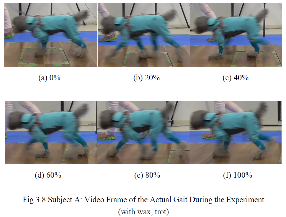 実験中の歩行(ビデオフレーム)