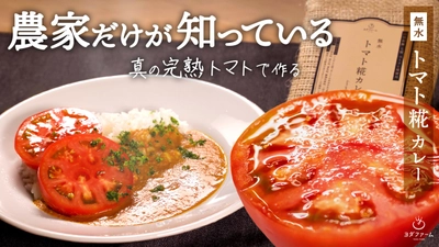 規格外サイズのトマトを利用した「無水トマト糀カレー」 　Makuakeでの先行予約販売を11月15日まで実施