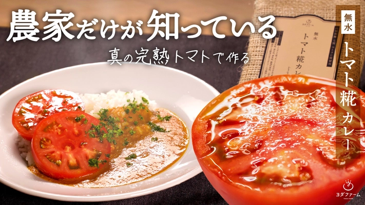 規格外サイズのトマトを利用した「無水トマト糀カレー」 　Makuakeでの先行予約販売を11月15日まで実施
