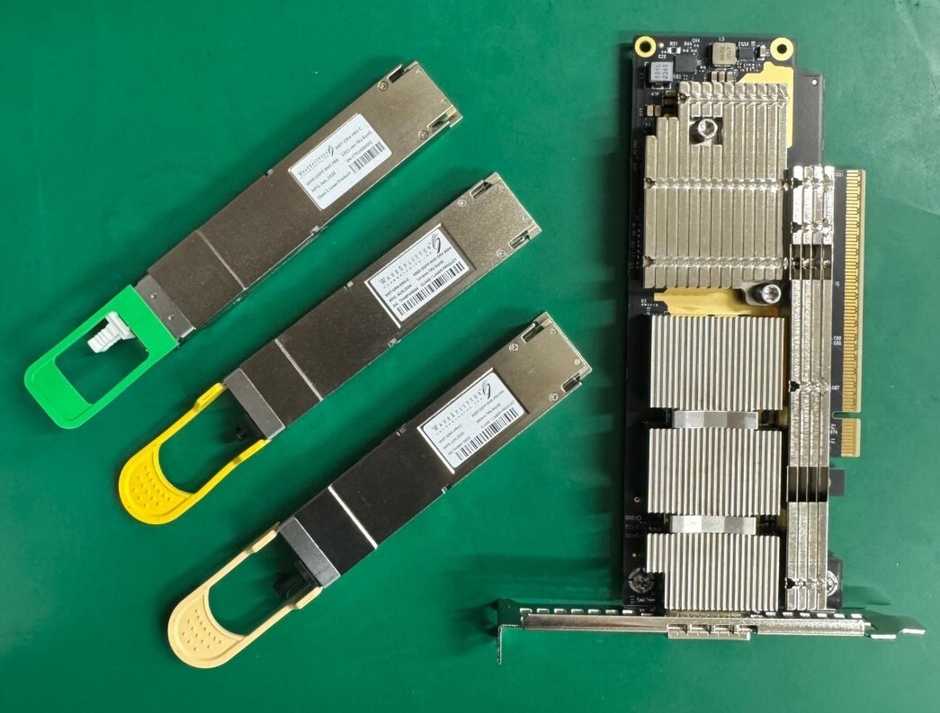 写真2 三品種ラインナップとCX7 NIC