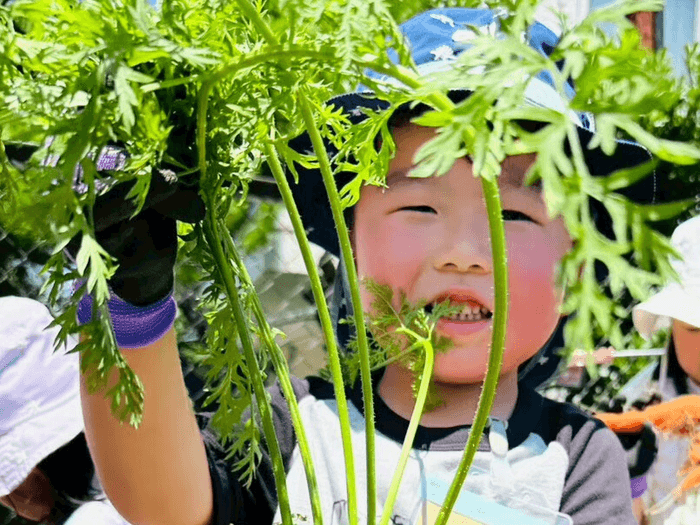 ニンジンの収穫をして喜ぶ子供