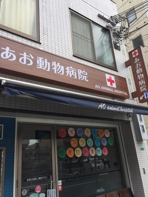あお動物病院 外観1