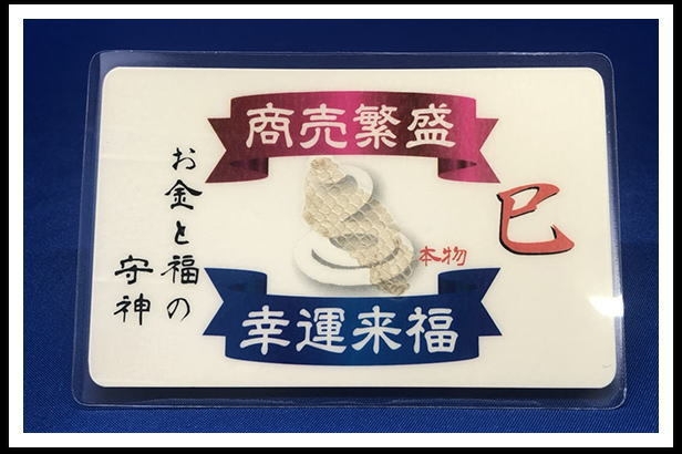 蛇の抜け殻