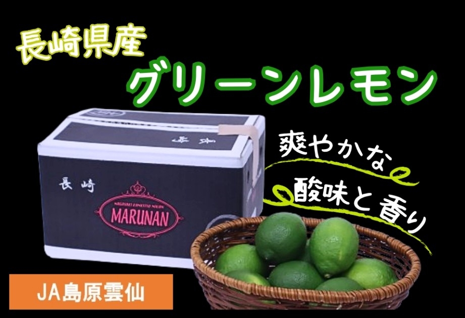 長崎県産 グリーンレモン(JA島原雲仙)